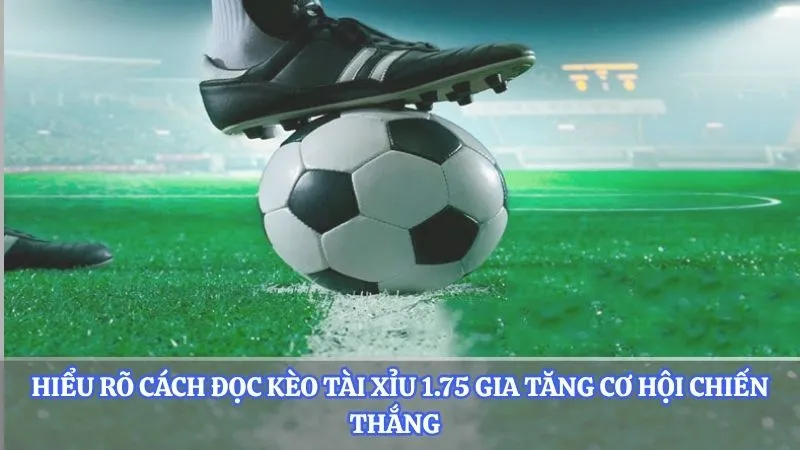 Cách Đọc Kèo Tài Xỉu 1 3/4 Chuẩn Và Mẹo Soi Kèo Dễ Trúng