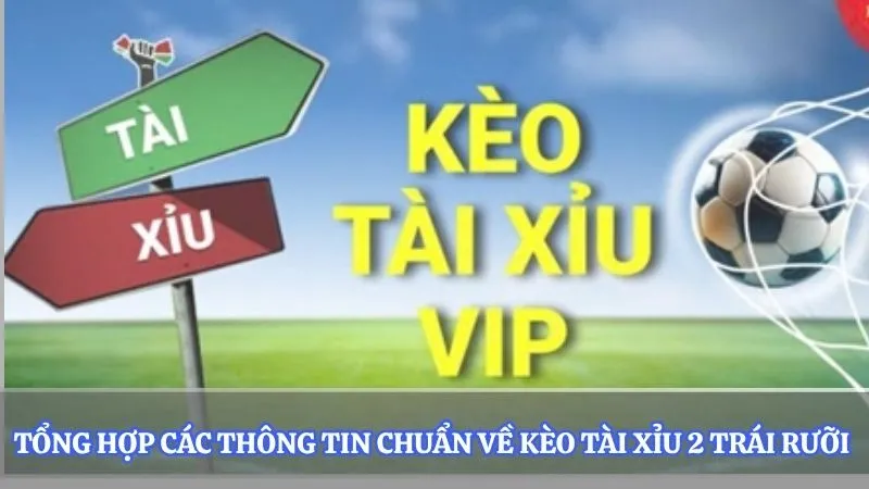 Tổng hợp các thông tin chuẩn về kèo tài xỉu 2 trái rưỡi